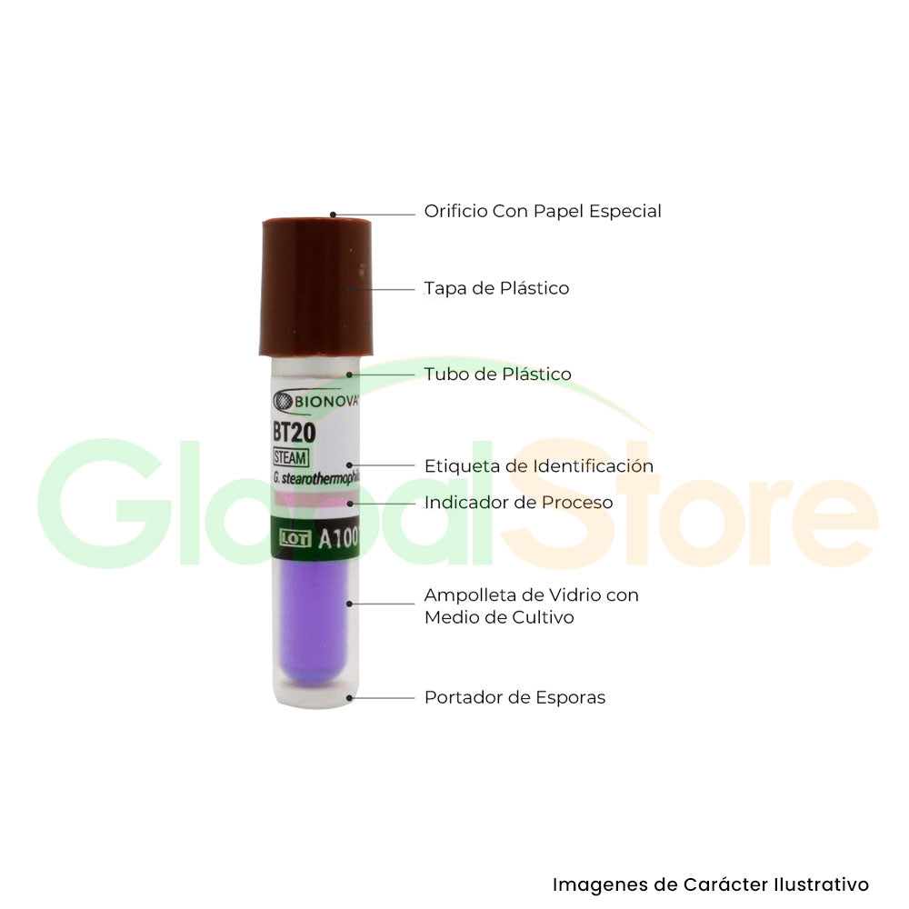 Indicador Biológico para Vapor, BT20